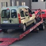 コカングーさんが「検査入院」です！