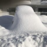 大雪に埋もれたコカングーさん