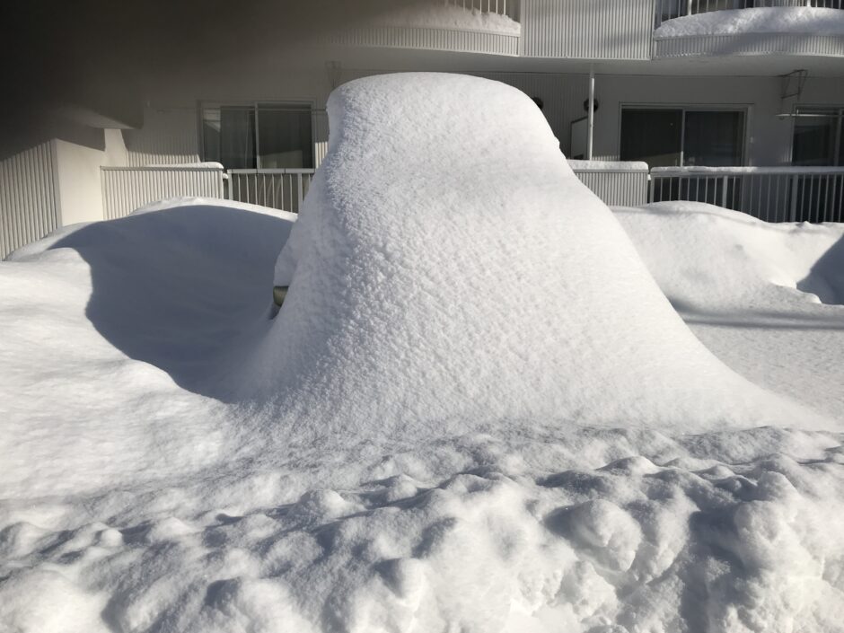 大雪に埋もれたコカングーさん