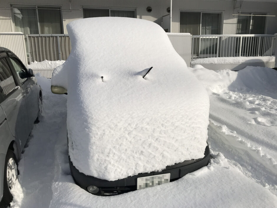 大雪に埋もれて「雪だるま」になったコカングーさん！
