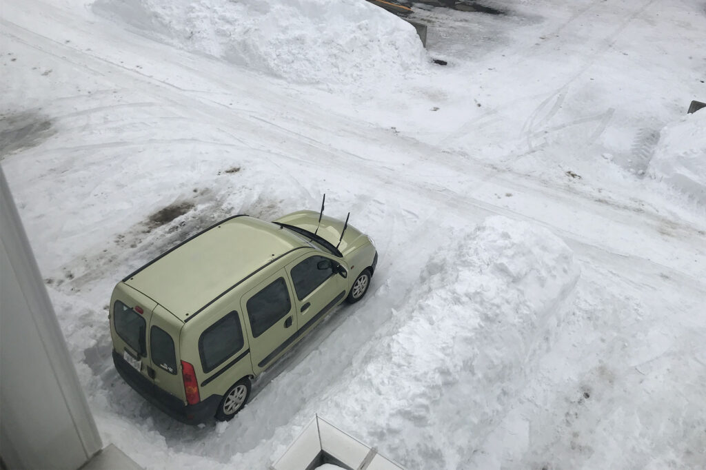 春待ちしているコカングーさんです