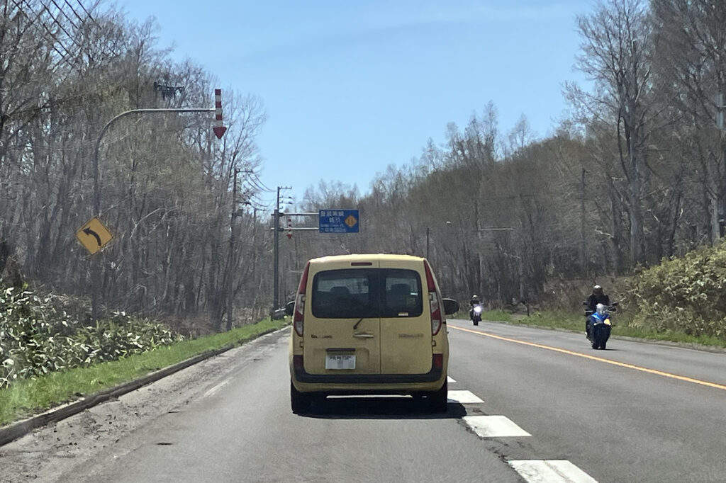 ルスツ手前でデカングーさんに遭遇